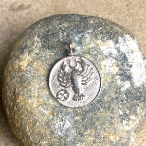 Sterling Silver Zodiac Charm